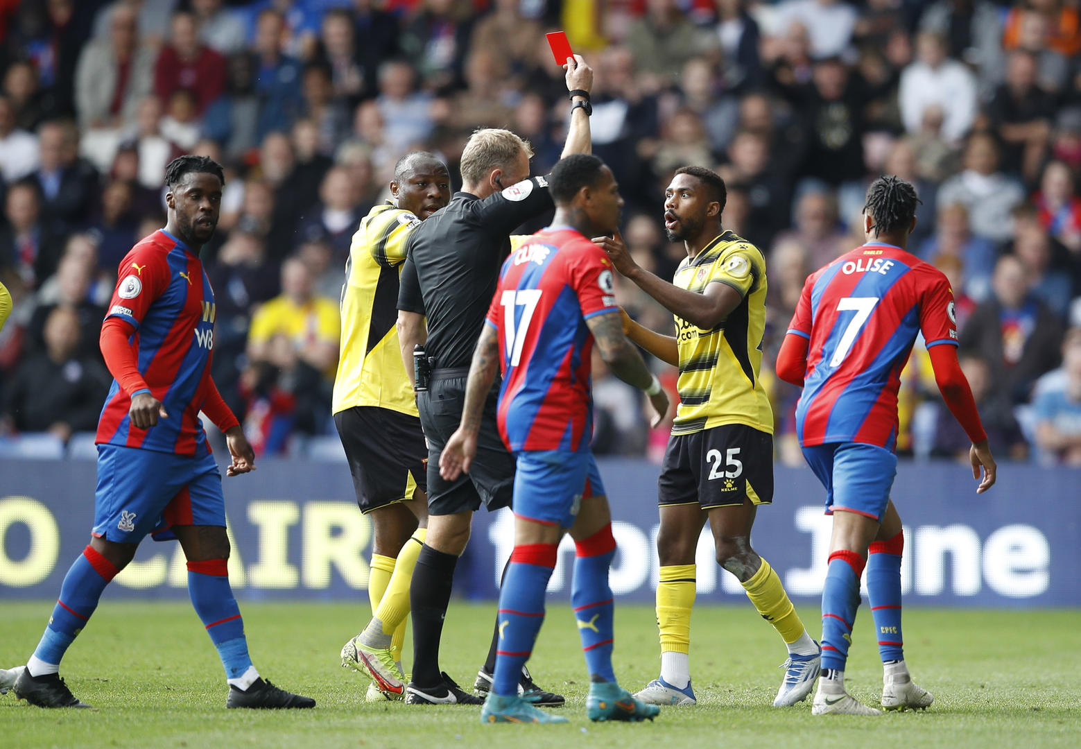 球员的配偶 球员的配偶