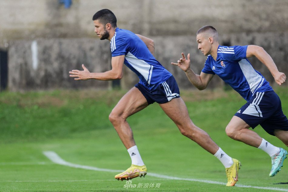 不同风格的 不同风格的